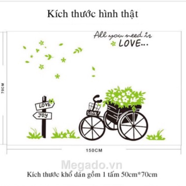 Decal xe đạp xanh