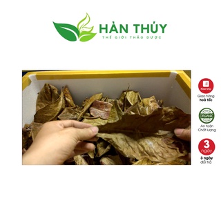 Lá Bàng Khô - Thần Dược Cá Cảnh
