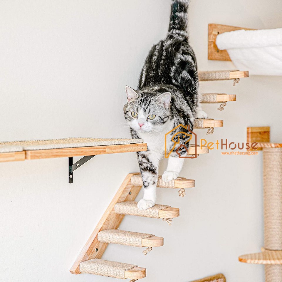 Cào móng 4 bậc thang gắn tường cho mèo sản phẩm gỗ tự nhiên bền đẹp sx pethouse