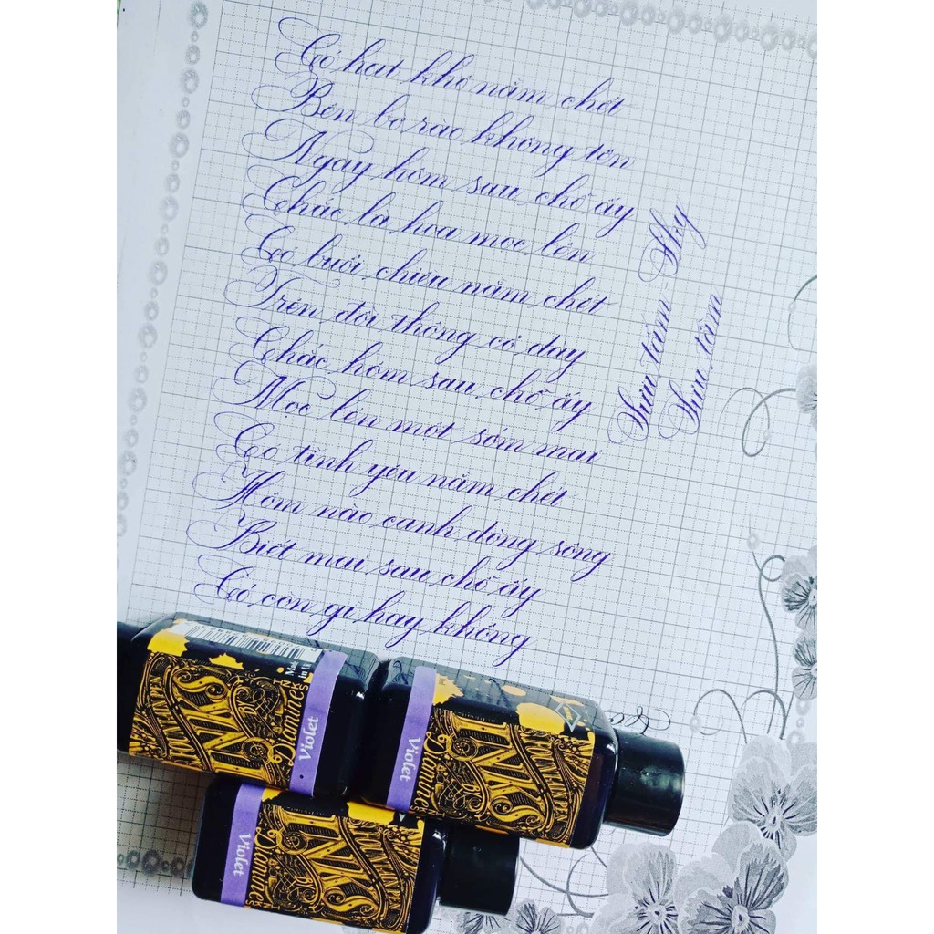 Mực bút máy Diamine 30ml