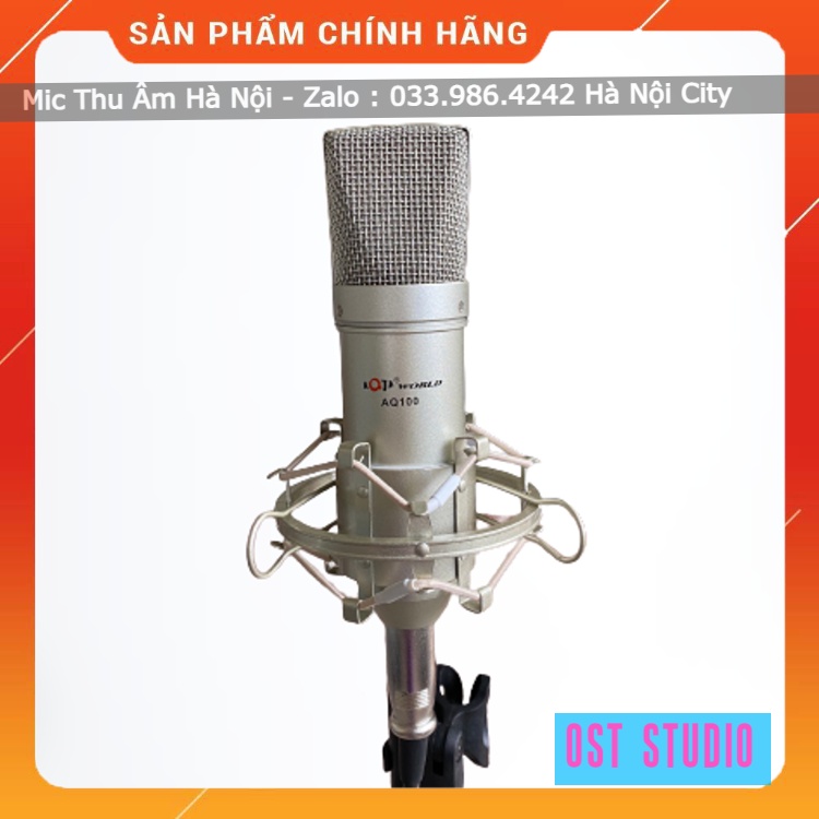 Mic Thu Âm Aqta AQ100 Hàng Loại 1 . Kiểu Dáng Cực Đẹp , Bắt Âm Cực Tốt , Thích Hợp Mọi Loại Sound Card