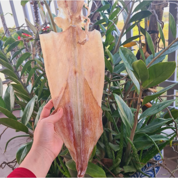 500Gr Mực Khô Loại 1 (Size 9-12 con/kg) - Đặc Sản Thịnh Long JoJo Seafood