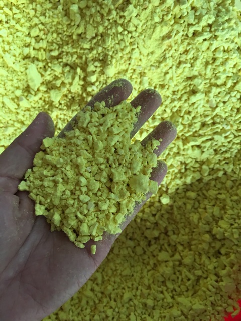 Tinh nghệ nếp đỏ | BigBuy360 - bigbuy360.vn