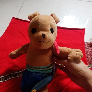 Thỏ con mặc yếm