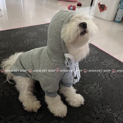 Áo Hoodie Cho Chó Mèo Mẫu Áo Khoác Nỉ Có Mũ Mùa Thu Đông Cho Thú Cưng Cao Cấp Giá Rẻ Amun Pet