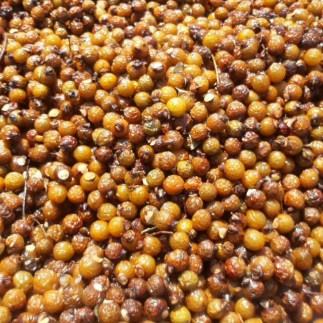 QUẢ BỒ HÒN