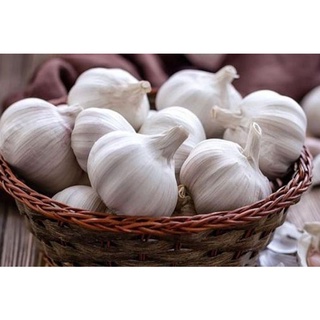 Tỏi (củ khô)