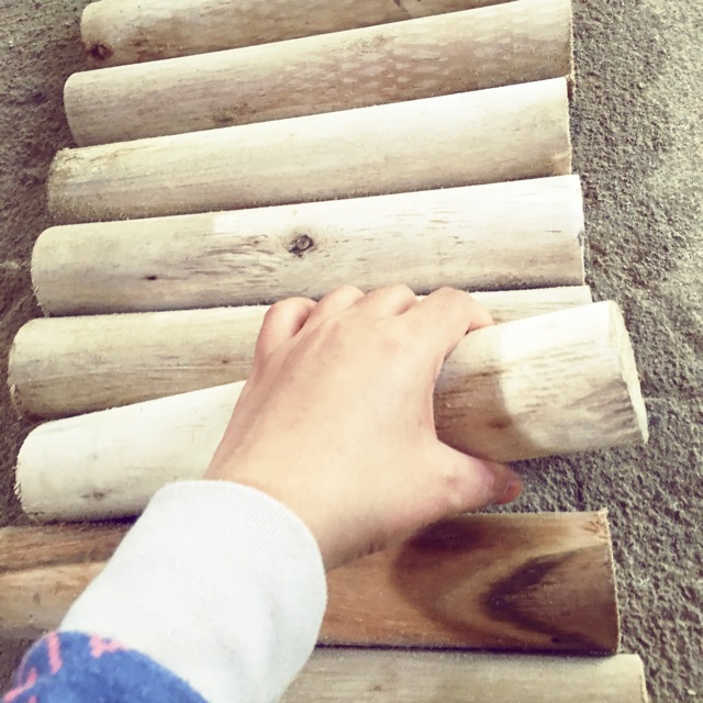 Khối trụ tròn phi 5cm dài 20cm | BigBuy360 - bigbuy360.vn