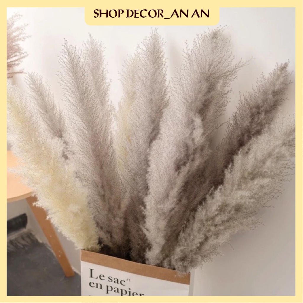 Combo 15 bông lau loại to trang trí decor chụp ảnh,trang trí shop trang tri quán cafe trang trí tiệc cưới sự kiên