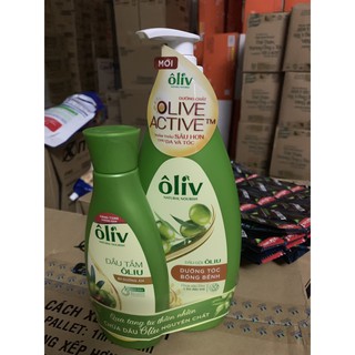 Dầu Gội Dưỡng Tóc Ôliv 650ml Bồng Bềnh Tặng