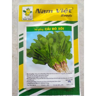 Hạt giống cải bó xôi