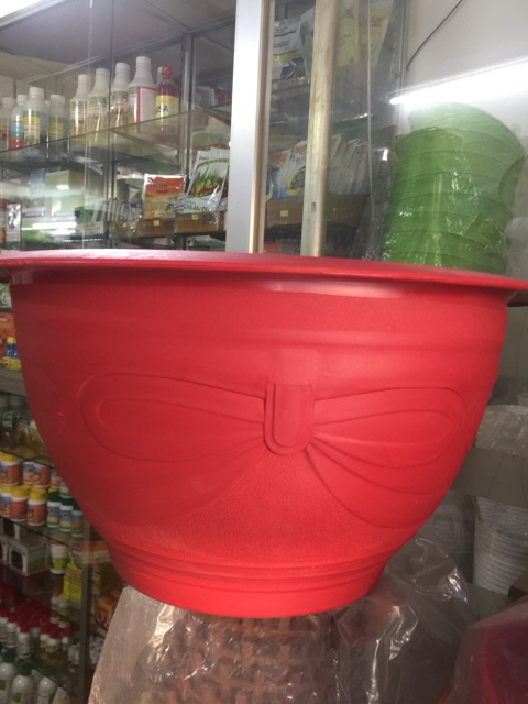 Chậu trồng mai đường kính 47cm