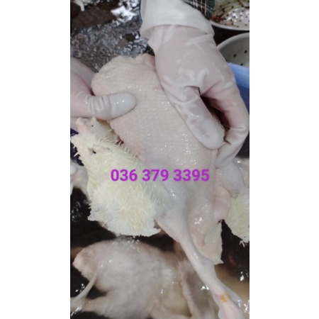 SÁP LÀM LÔNG VỊT CHÍNH HÃNG - 5kg Sáp