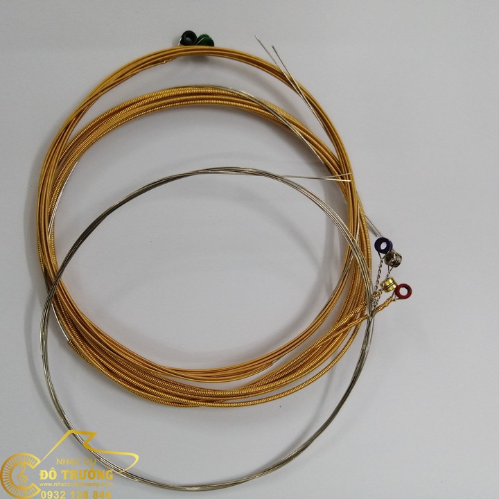 Dây Đàn Guitar Daddario Ej16