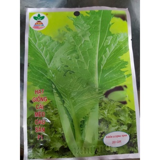 hạt giống cải mèo cao sản f1 gói 20gr
