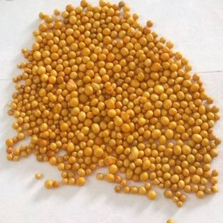 Phân tan chậm hạt vàng Thái Lan ( Túi 200g)