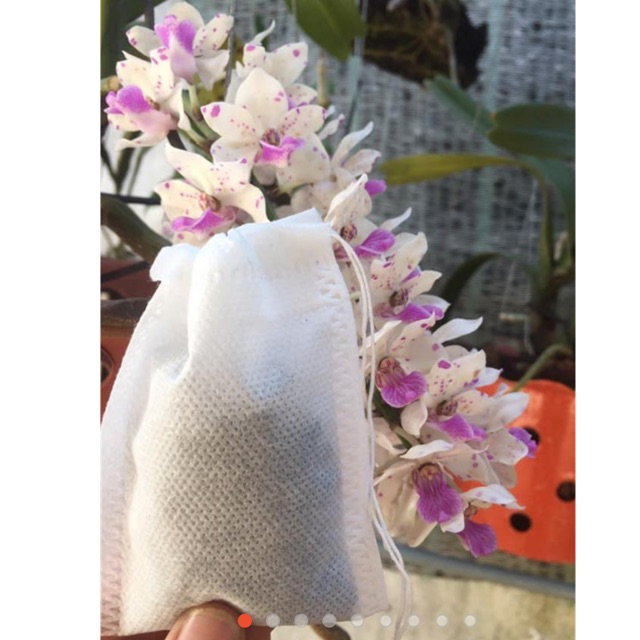 100 túi lọc đựng phân tan chậm