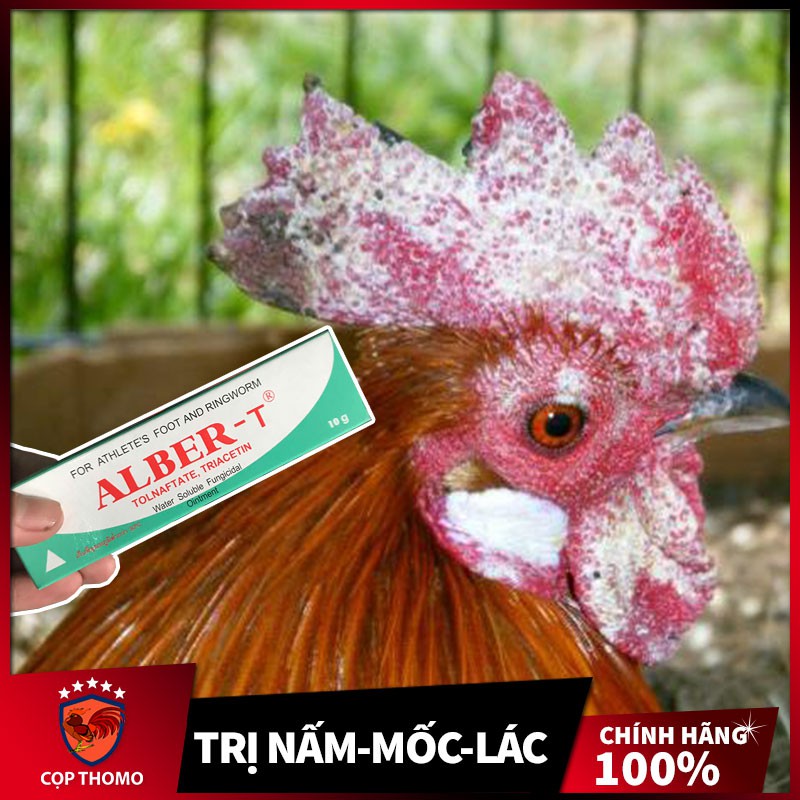 Trị nấm gà, mốc gà chọi và chim, thuốc lác gà đá ALBER-T dạng tuýp bôi 10gr