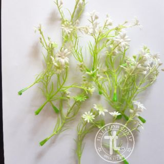 5 bịch hoa cỏ nhí trang trí  100k