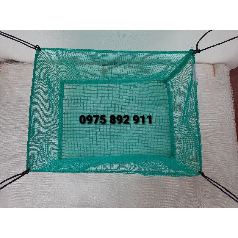 LỒNG CÁ ĐẺ - GUPPY