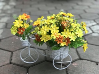 Cúc cánh sẻ bằng lụa - hoa giả cúc nhí
