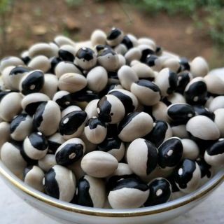 Đậu Mắt Gấu - 500gr