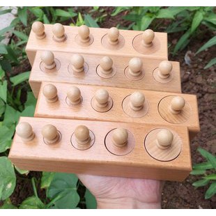 Bộ trụ có núm Montessori loại nhỏ (Mini Cylinder blocks)