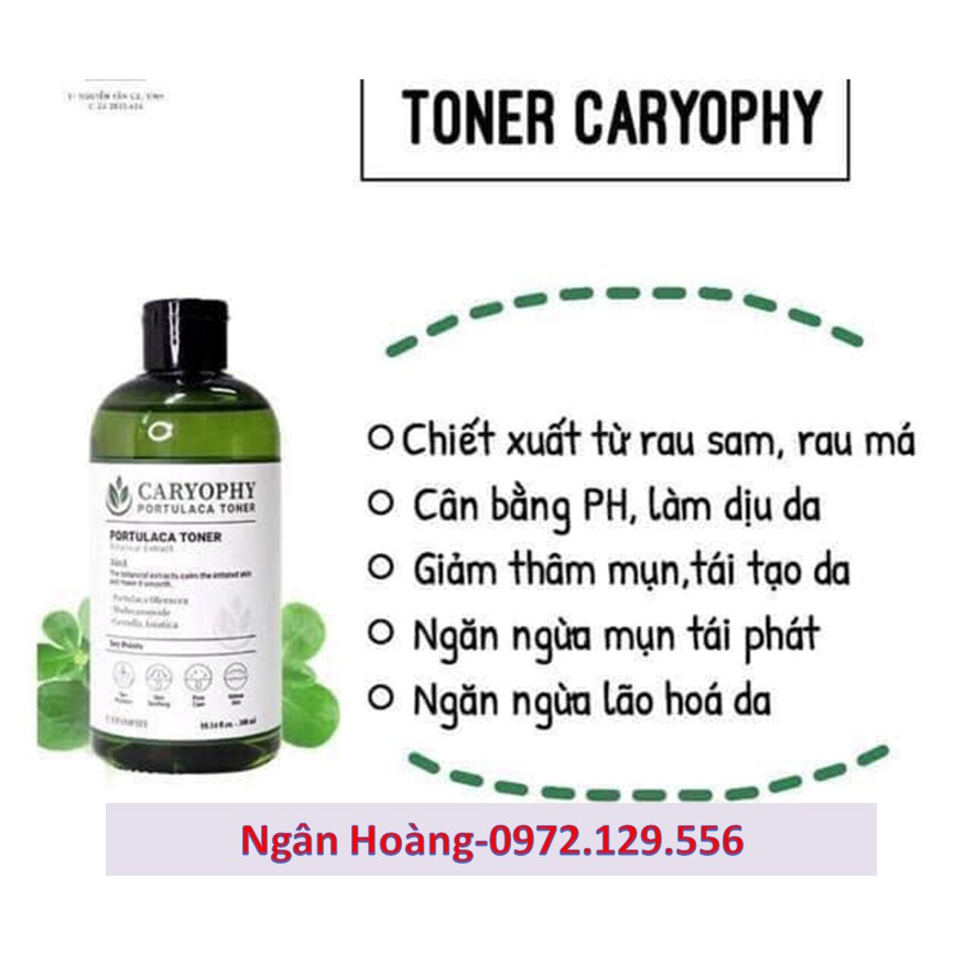 NƯỚC HOA HỒNG CARYOPHY PORTULACA THẦN DƯỢC TIÊU DIỆT CÁC LOẠI MỤN