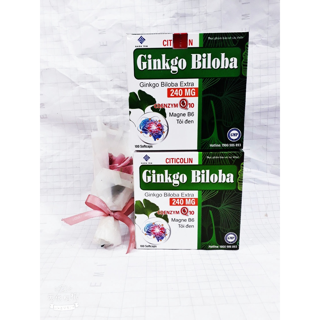Viên uống bổ não GINKGO BILOBA, giúp tăng cường tuần hoàn não, giảm đau đầu, mất ngủ, hoa mắt, chóng mặt, tê bì chân tay