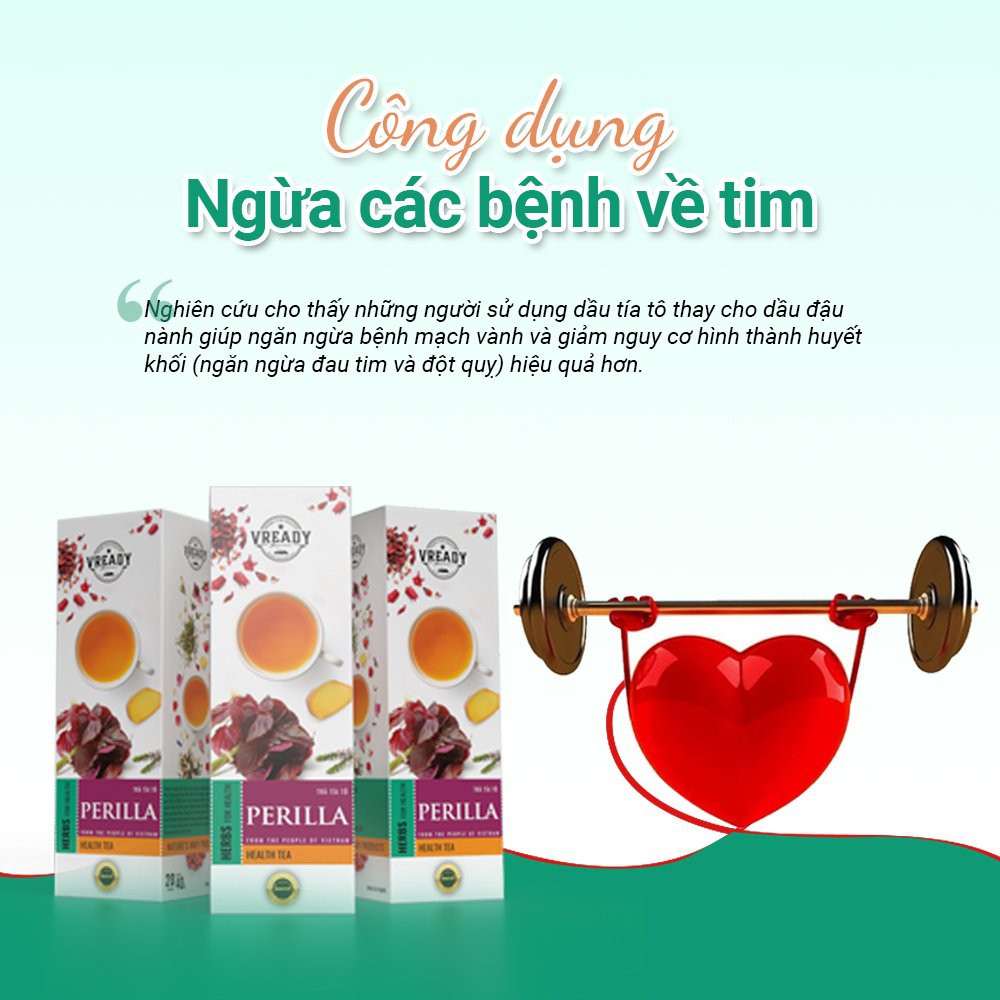 Trà Tía Tô Vready - Trà Túi Lọc Thanh Nhiệt, Giải Cảm, Giảm Cân Hiệu Quả | BigBuy360 - bigbuy360.vn