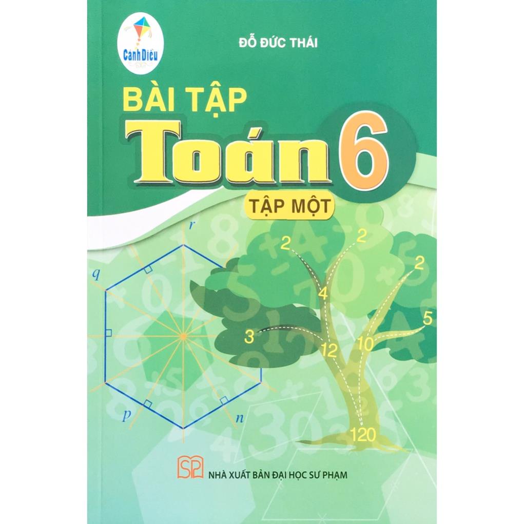 Sách Bài tập Toán 6 tập 1(Cánh Diều)