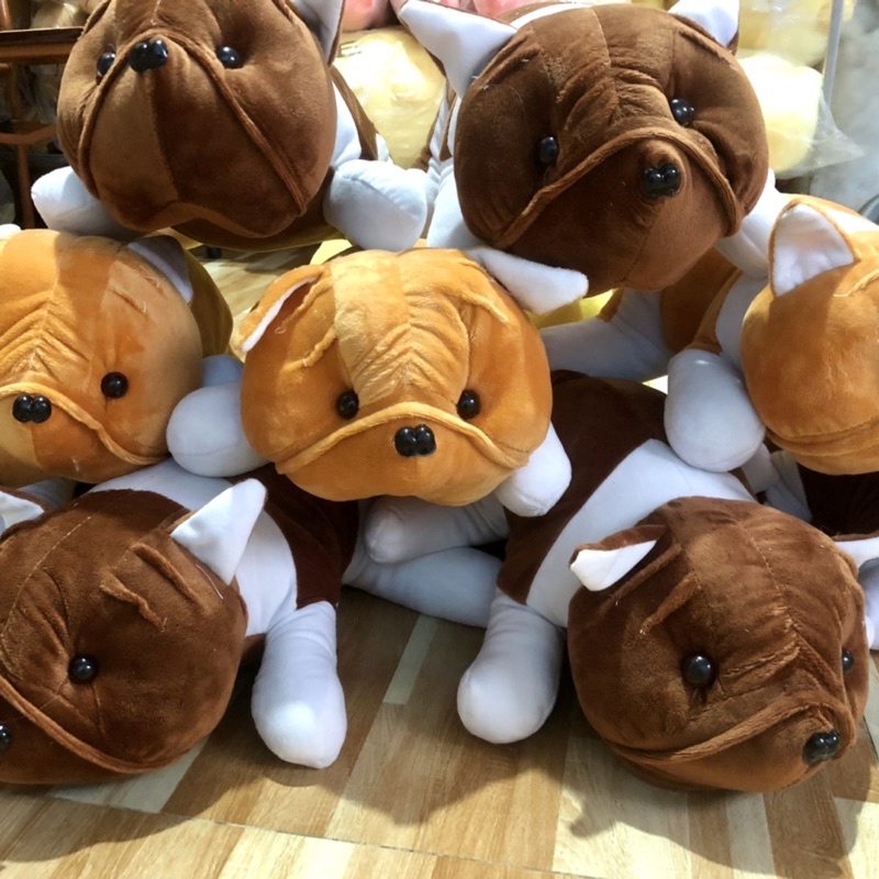 ❤️Sỉ Giá Xưởng❤️ Gấu Bông Chó Mặt Sệ , Thú Bông Chó Nhăn Siêu Đáng Yêu