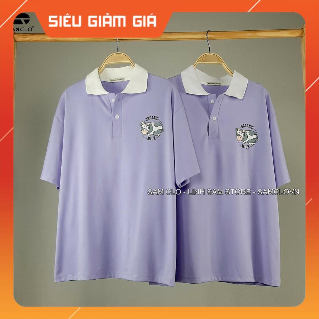 Áo thun Polo tay lỡ form rộng nữ SAM CLO phông freesize unisex mặc đi học, nhóm, lớp in hình BÒ SỮA