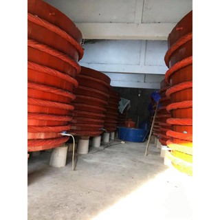 Nước mắm cá cơm Lộc Phát 42 độ đạm