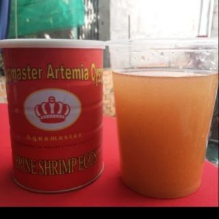 Artemin trung quoc loai 1 bao no 50g