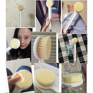 Cọ lưng muji nhật bản