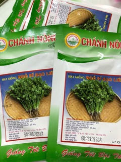 Hạt giống Ngò Rí (Rau Mùi)