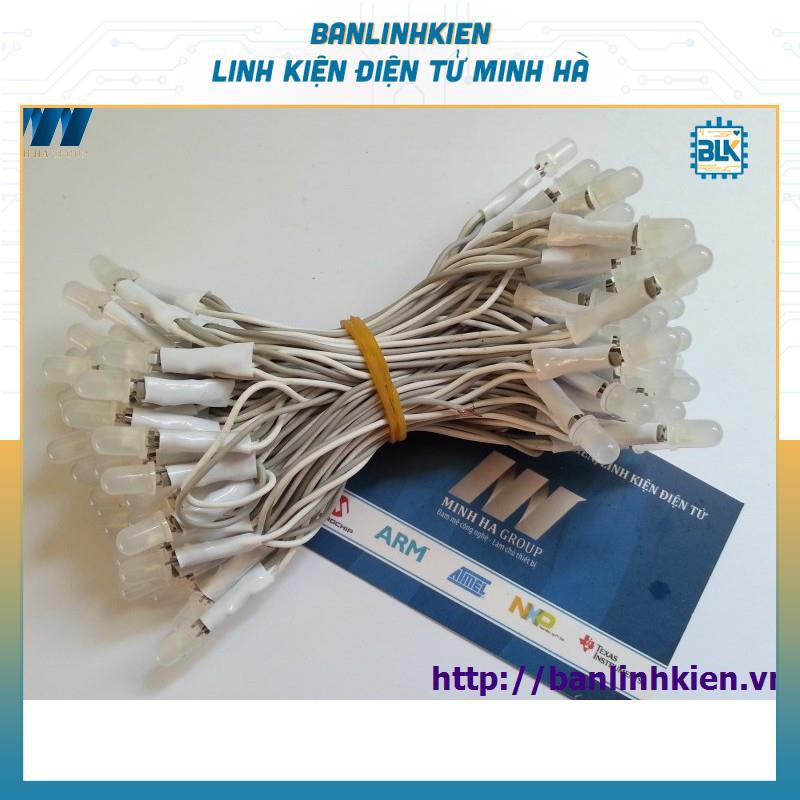 LED Liền Dây Phi 5 Trắng (100 Bóng)