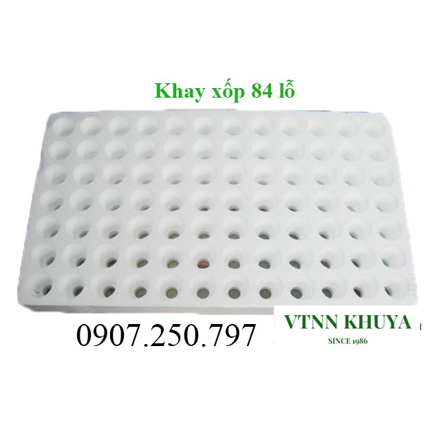 Khay xốp ươm hạt 84 lỗ