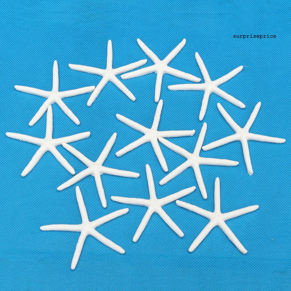 Sao Biển Nhân Tạo Bằng Nhựa Thân Thiện Với Môi Trường