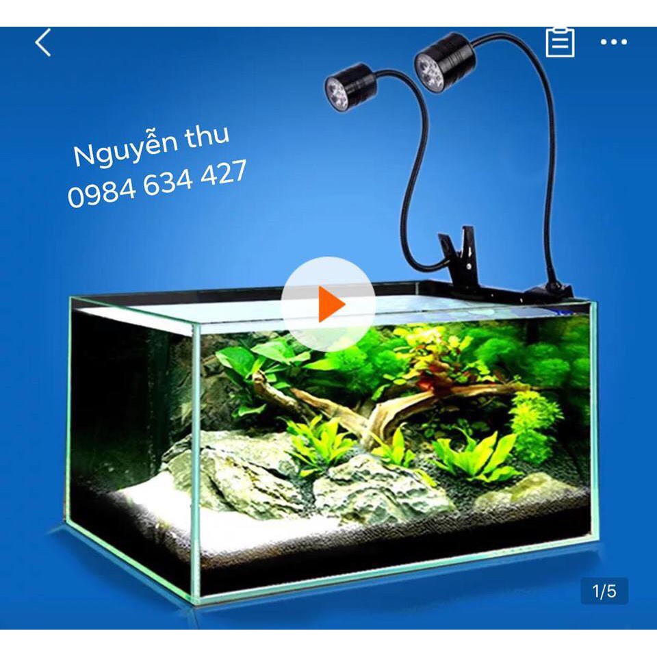 Combo suoi 50w và đèn rọi