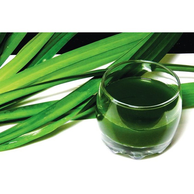 Bột lá dứa Việt Nam-Pandan Powder