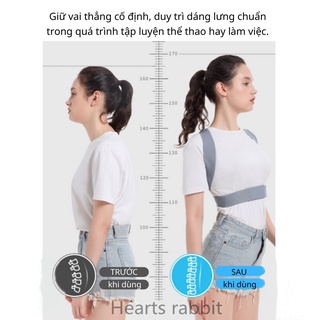 Đai chống gù lưng SAMEPEAK SP20 thế hệ mới [Có thanh trợ lưng]
