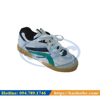 Giày bảo hộ ASIA cầu lông MSC02