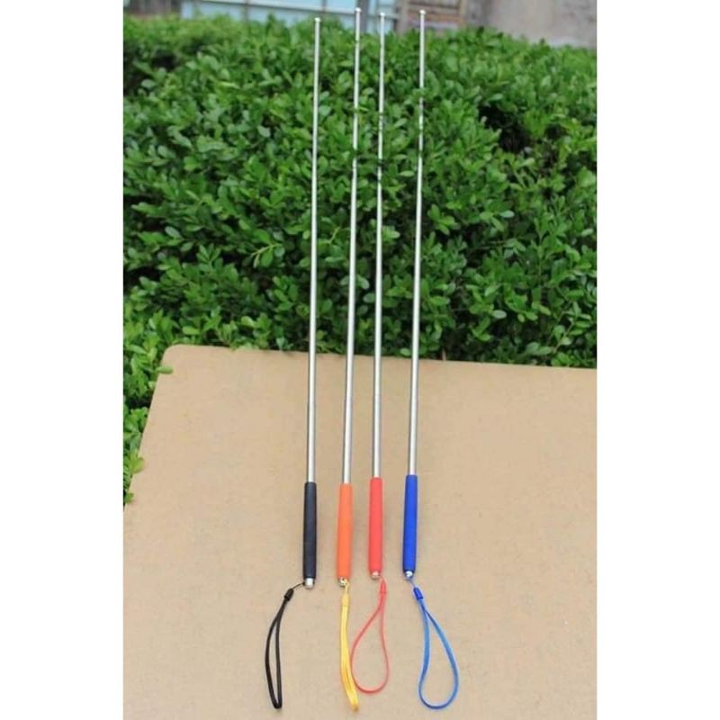 Cây chỉ bảng giáo viên