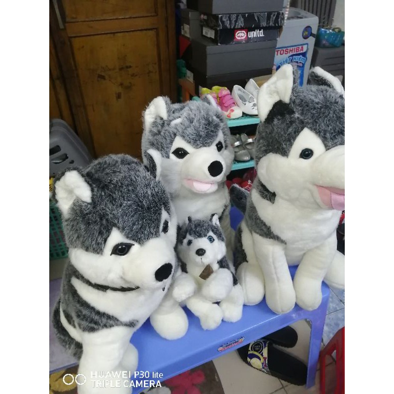 Gấu bông của uyên phan