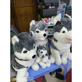 Gấu bông của uyên phan