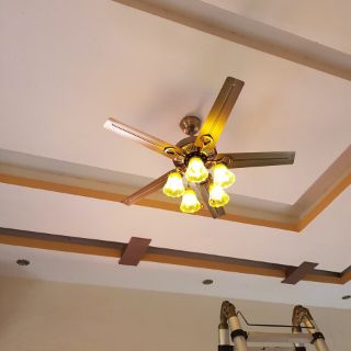 Quạt trần cánh sắt(sẵn kho)