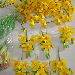 Com bo nu hoa mai đào