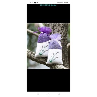 Túi thơm Lavender